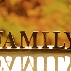 What Are the Things that Can Help You Get Efficient Carpet Cleaning?